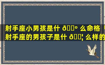 射手座小男孩是什 🐺 么命格「射手座的男孩子是什 🐦 么样的」